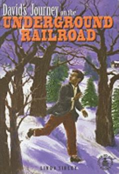 Paperback David's Journey on the Underground Railroad Book