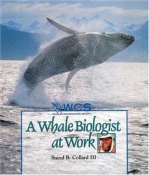 Paperback A Whale Biologist at Work Book