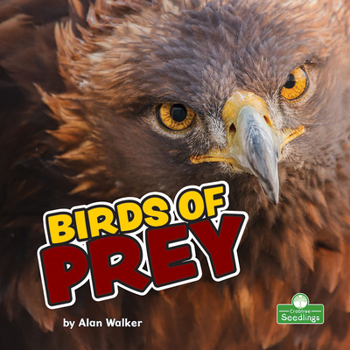Library Binding Birds of Prey Book