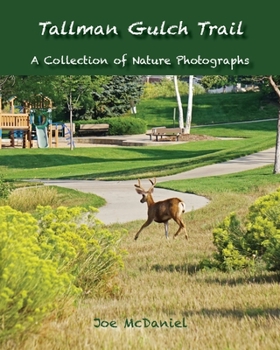 Paperback Tallman Gulch Trail Book