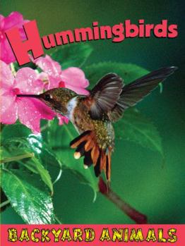 Hummingbirds - Book  of the Backyard Animals