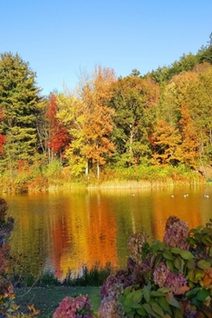 Fall Colors Autumn Lake Reflection 2020 Daily Planner 388 Pages: 2020 Planners Calendars Organizers Datebooks Appointment Books Agendas