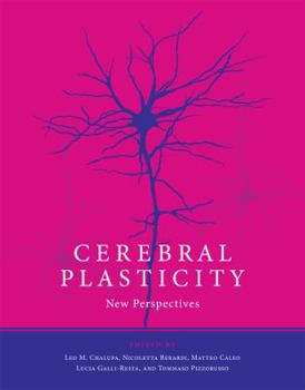 Hardcover Cerebral Plasticity: New Perspectives Book