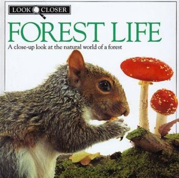 Hardcover Forest Life (Look Closer) Book