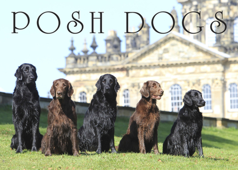 Hardcover Posh Dogs Book