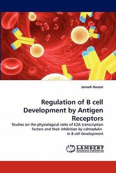 Paperback Regulation of B Cell Development by Antigen Receptors Book