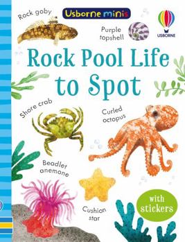 Rock Pool Life to Spot - Book  of the Usborne Minis