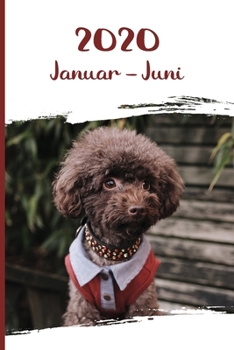 Kalender 2020: Pudel Hunde Tageskalender 1. Halbjahr Januar Juni ca DIN A5 wei� �ber 190 Seiten