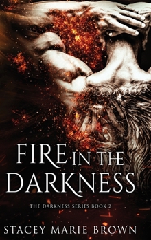 Hardcover Fire In The Darkness Book