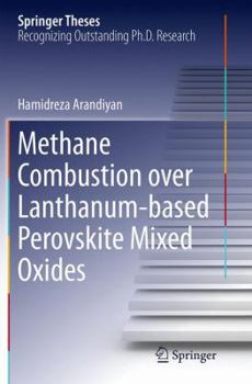 Paperback Methane Combustion Over Lanthanum-Based Perovskite Mixed Oxides Book