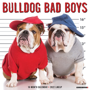 Calendar Bulldog Bad Boys 2022 Wall Calendar (Dog Breed) Book