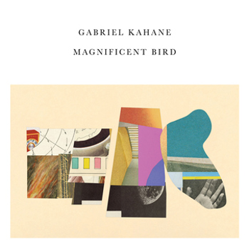 Vinyl Magnificent Bird Book