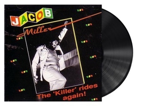 Vinyl Killer Rides Again Book