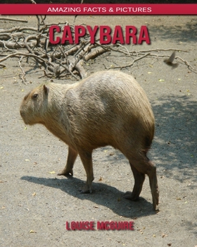 Capybara: Amazing Facts & Pictures