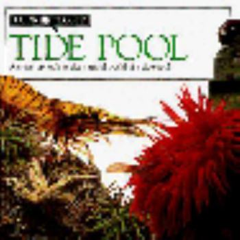 Hardcover Tide Pool Book