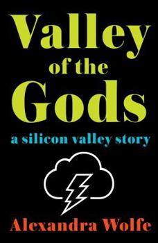 Hardcover Valley of the Gods: A Silicon Valley Story Book