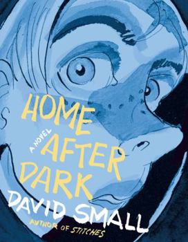 Hardcover Home After Dark Book