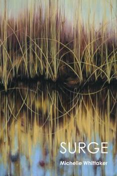 Paperback Surge Book