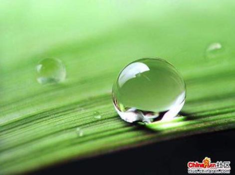 Paperback Blast Off! The Surefire Success Plan To Launch Your Dreams Into Reality Book