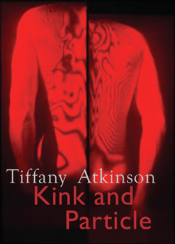 Paperback Kink and Particle Book