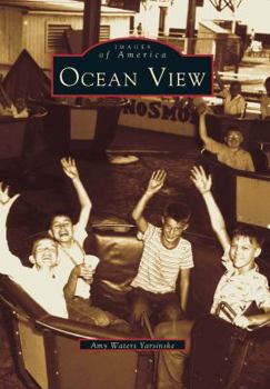 Paperback Ocean View Book