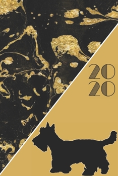 2020: 2020 Sunday Start Monthly Calendar and Organizer | Cesky Terrier Gift for Women