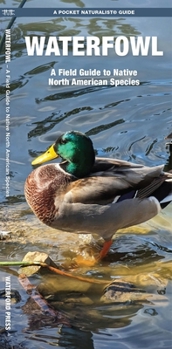 Pamphlet Waterfowl: A Field Guide to Native North American Species Book