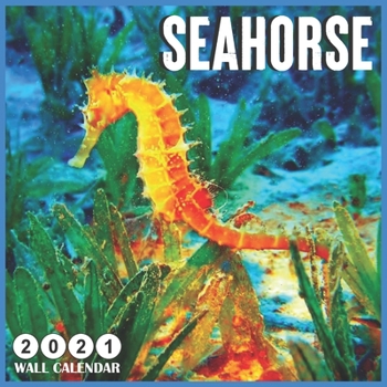 Paperback Seahorse 2021 wall calendar: 18 Monthly Square Calendar 2021 Book