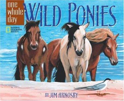 Hardcover Wild Ponies: A One Whole Day Book