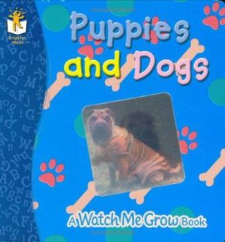 Board book Puppies and Dogs Book