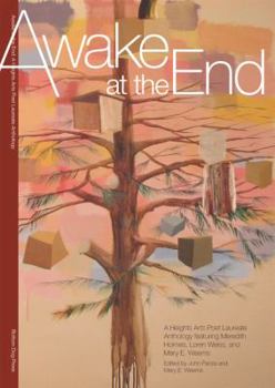 Paperback Awake at the End:: A Heights Arts Poet Laureate Anthology Book