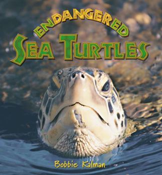 Paperback Endangered Sea Turtles Book