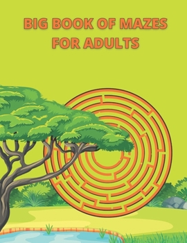 Paperback Big Book Of Mazes For Adults: Amazing mazes for adults Book