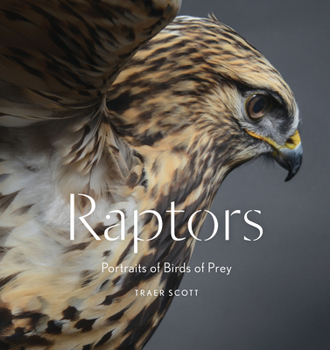 Hardcover Raptors: Portraits of Birds of Prey (Bird Photography Book) Book