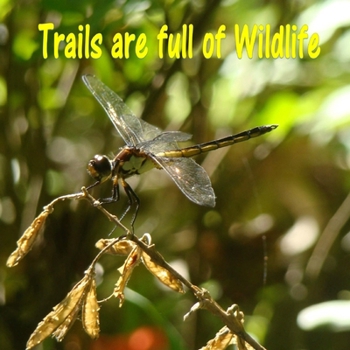 Trails are Full of Wildlife: A Book of Fun Facts and Amazing Photos