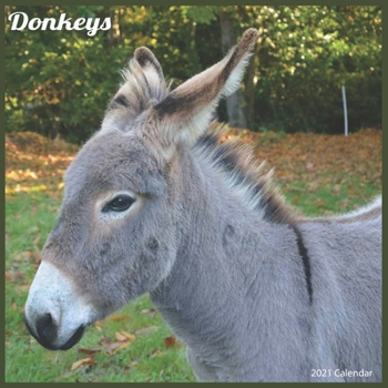 Paperback Donkeys 2021 Calendar: Official Donkey 2021 Wall Calendar Book