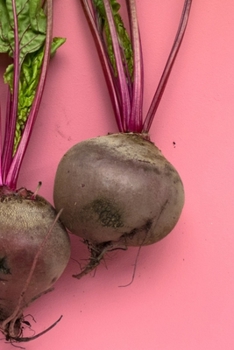 Paperback My Journal: Recipe Journal - 6"x9" - 120 Lined pages - Recipe Recording Notebook - Matte Cover Book