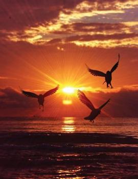 Paperback Sunrise Notebook: 8.5 X 11 202 College Ruled Pages Book