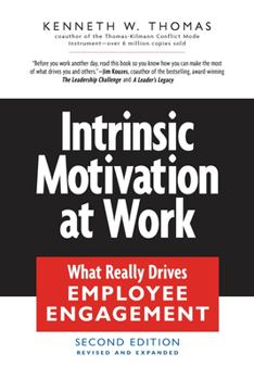 Paperback Intrinsic Motivation at Work: Building Energy and Commitment Book