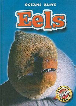Eels - Book  of the Oceans Alive