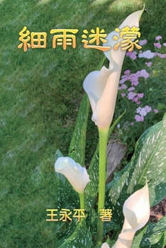 Paperback Misty Drizzle: 細雨迷濛 [Chinese] Book