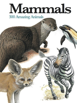 Paperback Mammals: 300 Amazing Animals Book