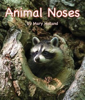 Hardcover Animal Noses Book