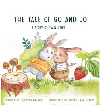 Hardcover The Tale of Bo and Jo: A Story of Twin Grief Book