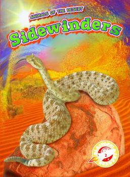 Library Binding Sidewinders Book