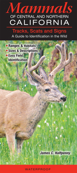 Pamphlet Mammals of Central & Northern California: Tracks, Scats and Signs a Guide to Identification in the Wild Book