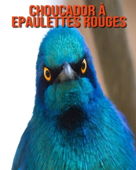 Choucador à Epaulettes Rouges: Photos Etonnantes & Recueil d’Informations Amusantes Concernant les Choucador à Epaulettes Rouges pour Enfants