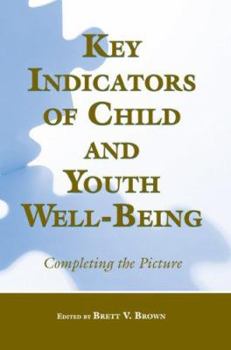 Paperback Key Indicators of Child and Youth Well-Being: Completing the Picture Book