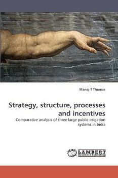 Paperback Strategy, Structure, Processes and Incentives Book
