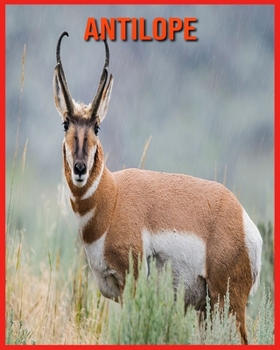 Antilope: Recueil pour Enfants de Belles Images & d'Informations Int?ressantes Concernant les Antilope